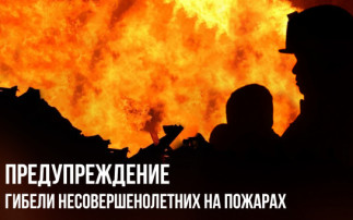 Предупреждение гибели несовершеннолетних от пожара Предупреждение гибели несовершеннолетних от пожара.