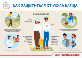 "Горячая линия" профмлактика клещевого энцефалита "Горячая линия" профмлактика клещевого энцефалита.
